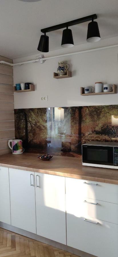 Modern And Cozy Apartment ปีเตช ภายนอก รูปภาพ