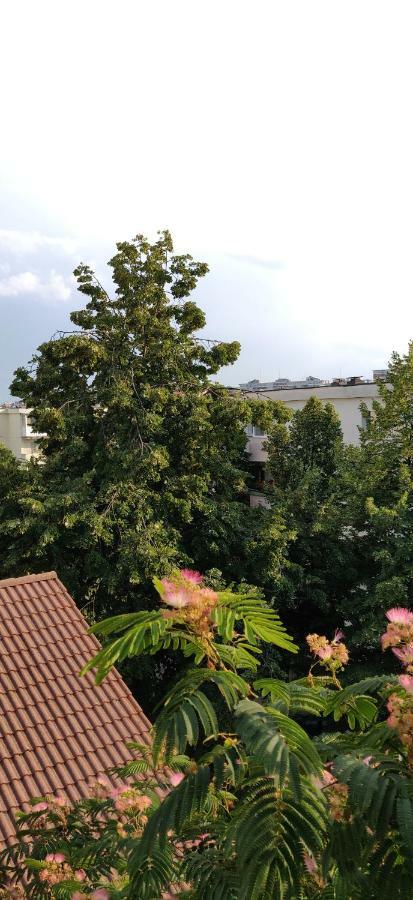Modern And Cozy Apartment ปีเตช ภายนอก รูปภาพ